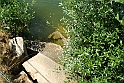 AVIGLIANA - LAGO GRANDE_110